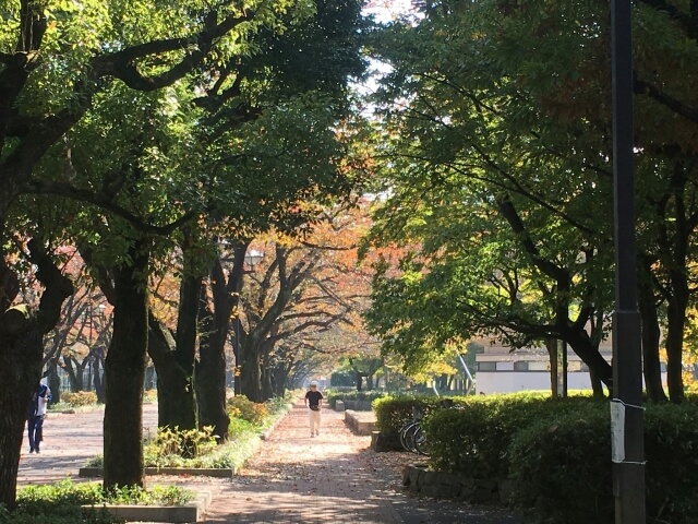 No.5 15.府中市の不動産の環境